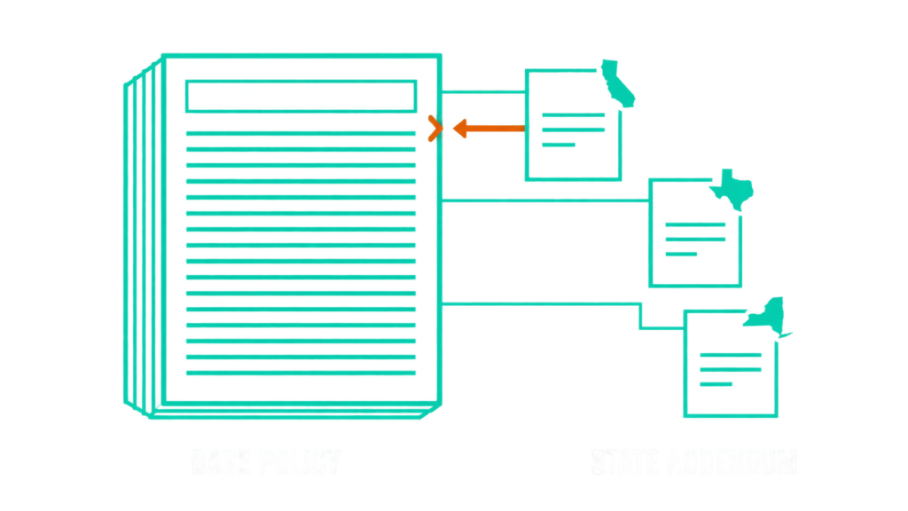 Diagram of one thick base policy linked to three thin state addenda, with an arrow showing the addendum governs.